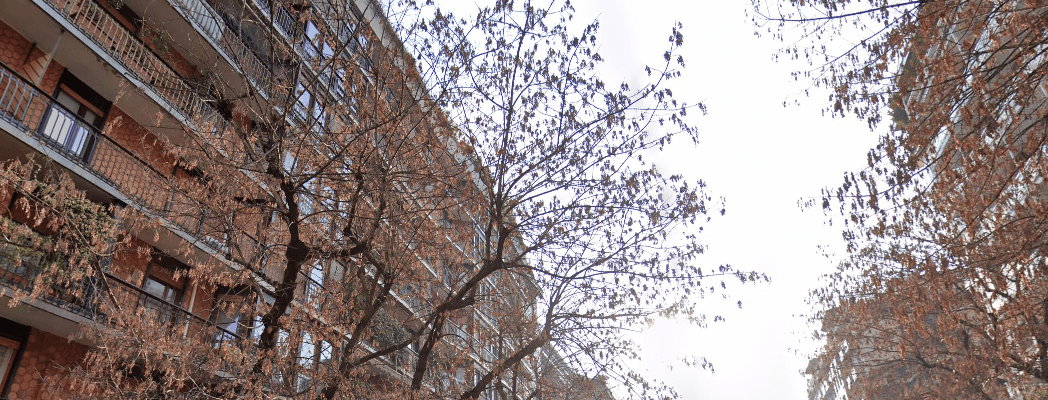 Studio Rizzardini Condominio Boni 37